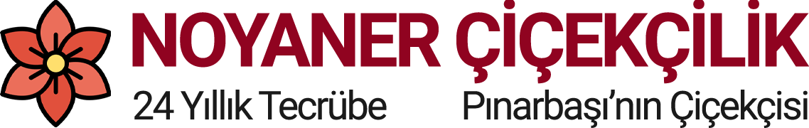noyaner-logo